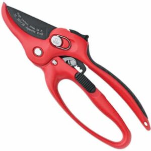 DUE CIGNI 2C 387/20 ΨΑΛΙΔΙ